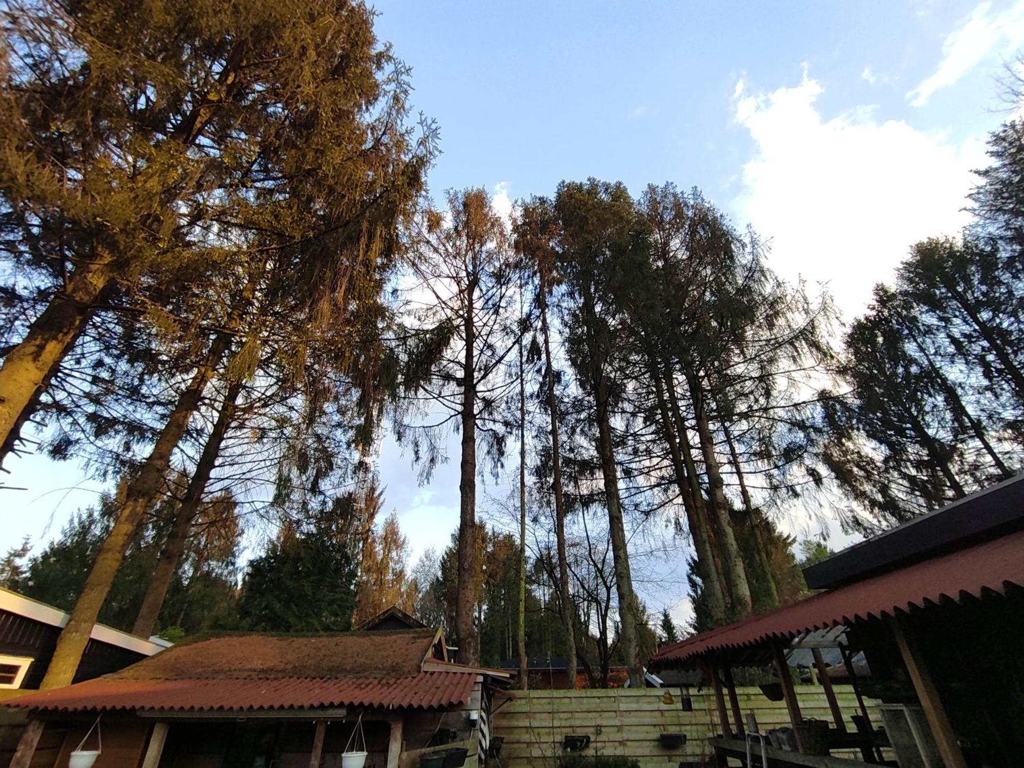 "Tempat Senang" Chalet On The Beautiful Veluwe With Airco Sauna Bbq Jacuzzi Beamer And Dog بوتِنْ المظهر الخارجي الصورة